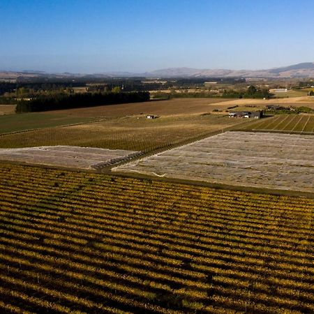 Romantic Vineyard Getaway Waipara المظهر الخارجي الصورة
