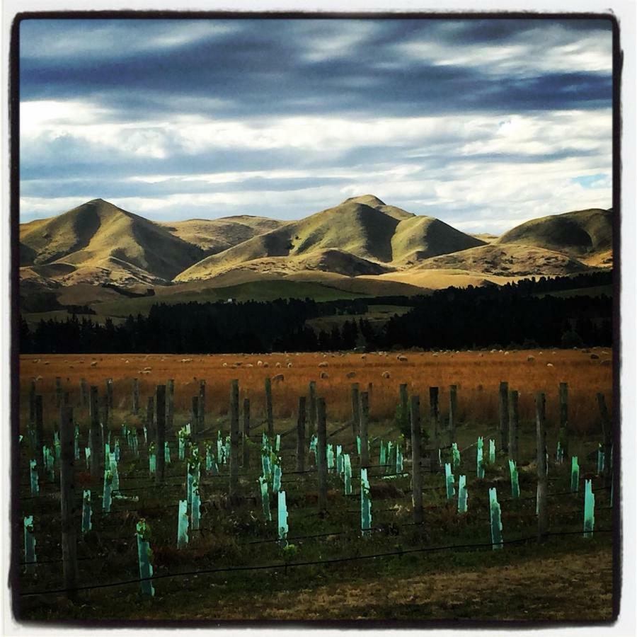 Romantic Vineyard Getaway Waipara المظهر الخارجي الصورة