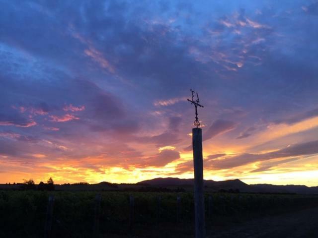 Romantic Vineyard Getaway Waipara المظهر الخارجي الصورة