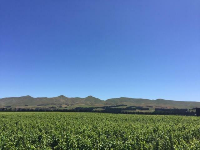 Romantic Vineyard Getaway Waipara المظهر الخارجي الصورة